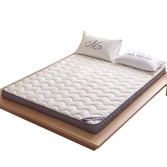 Tatami Mattress Coir Mattress Double Mattress Pad Student Dormitory Mattress Slip Resistant Tatami Mattress Double (Color : C, Size : 90x200cm (35x79inch))