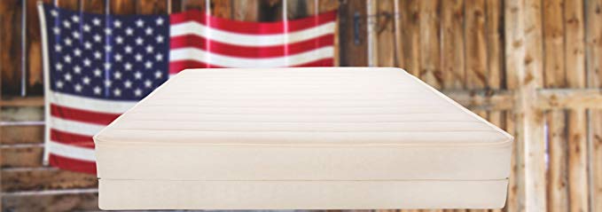 The DREAM BED Latex Mattress (14