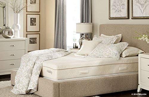 Mlily Vitality Memory Foam Mattress (Queen)